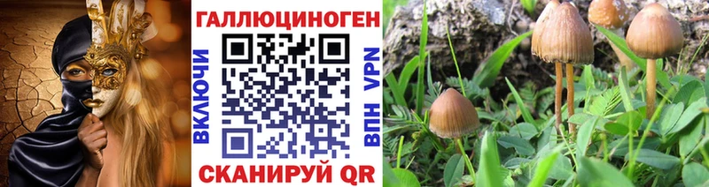 mega ONION  Фурманов  Псилоцибиновые грибы мицелий 