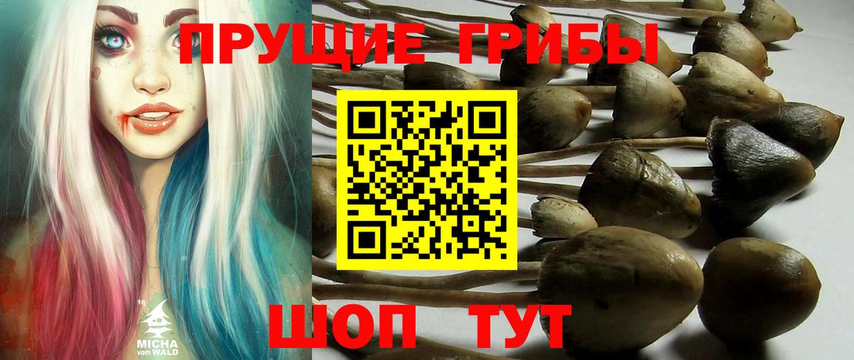 Псилоцибиновые грибы GOLDEN TEACHER  Вход с VPN  Фурманов 