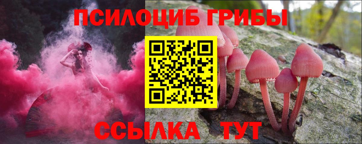Псилоцибиновые грибы Psilocybine cubensis Фурманов