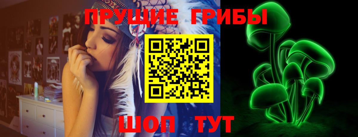 Галлюциногенные грибы Psilocybe  Галлюциногенные грибы GOLDEN TEACHER  Фурманов 